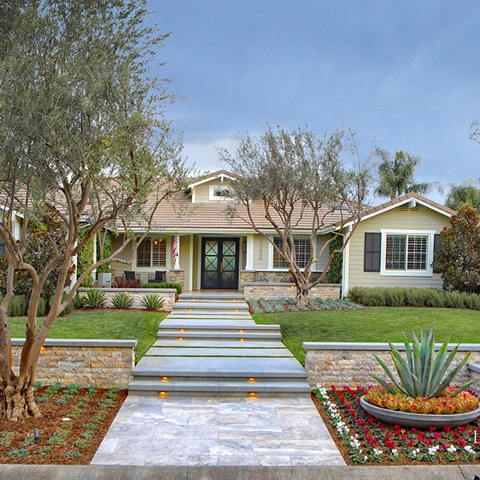 Drainage Solutions Photo